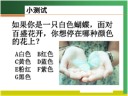 小测试.png